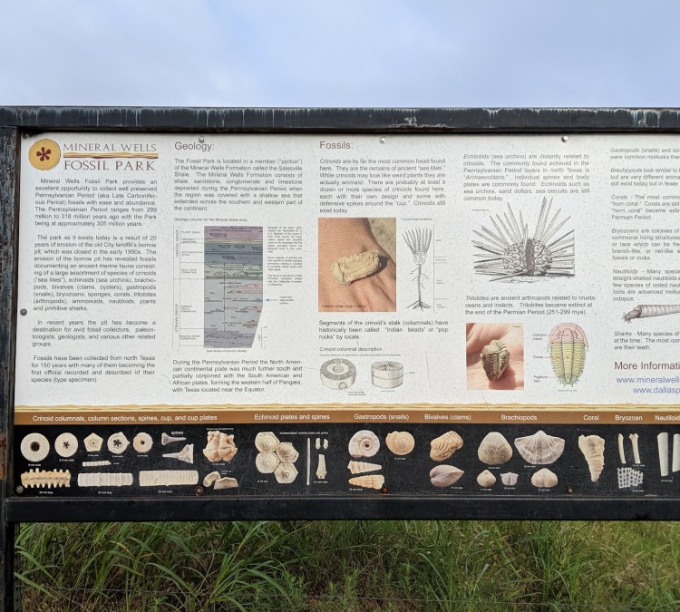 mineral-wells-fossil-park-photo